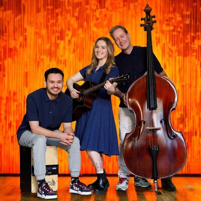 Gold Collective akoestische band, Coverband, Akoestisch, Pop band