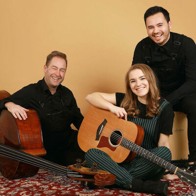 Gold Collective Ensemble, Akoestisch, Pop, Coverband ensemble