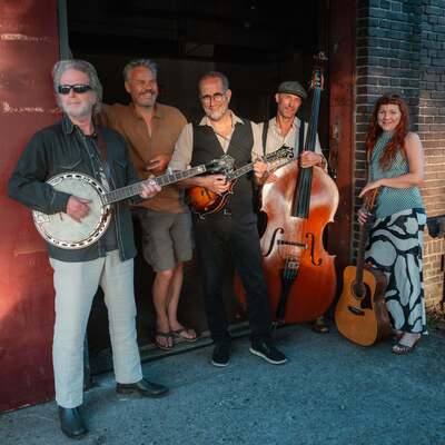 Back to Hank, Americana, Bluegrass, Country band
