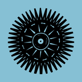 Zorita, Wereldmuziek, Pop, Folk band