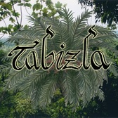 Tabizla, Ska, Reggae, Wereldmuziek band