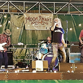 MoonSnake, Rock 'n Roll, Americana, Keltisch band
