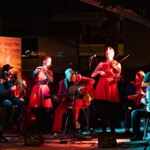 The Doggy Few, Akoestisch, Keltisch, Folk band