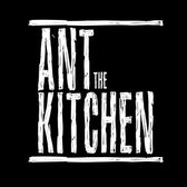Ant The Kitchen , Indie Rock, Alternatief, Rock band