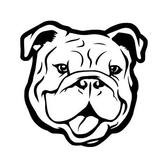 Hey bulldogs, Tributeband, Pop, Rock band