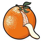 Quintetto Esposto, Pop band