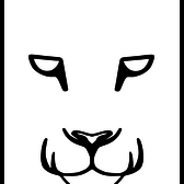 Lion's Joy, House, Disco, Deep house dj