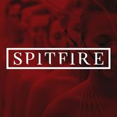 SPITFIRE, Rock, Indie Rock, Alternatief band
