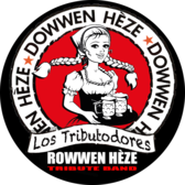 Dowwen Heze, Tributeband, Americana, Nederpop band