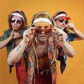 Tarzan & the Beachwaiters, Alternatief, Punk, Rock band