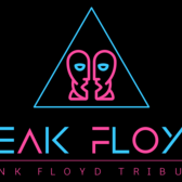 Peak Floyd, Progressieve rock, Rock band