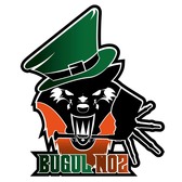 Bugul Noz, Punk, Keltisch, Metal band