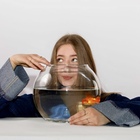 Eefje, Pop, Nederpop, Akoestisch soloartist