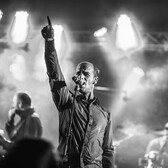 Silicon Carne, Coverband band