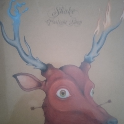 Shake, Psychedelic, Rock, Alternatief band