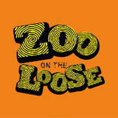 Zoo On The Loos (ZOTL), Pop, Rock, Funk band
