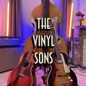 The Vinyl Sons, Rock, Pop, Country band