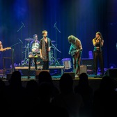 Silver Stallion, Americana, Country, Blues band