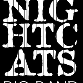 NightCats BigBand, Big Band, Jazz band