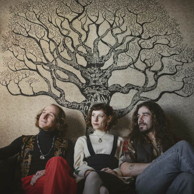 Red Oak Troubadours, Folk, Blues, Progressieve rock band