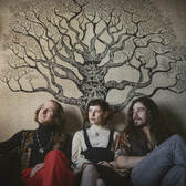 Red Oak Troubadours, Folk, Blues, Progressieve rock band