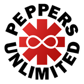 Peppers Unlimited (RHCP Tribute), Tributeband, Funk, Rock band