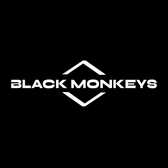 Black Monkeys, Rock, Progressieve rock, Pop band