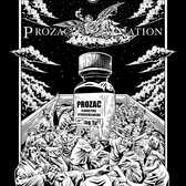 Prozac Nation, Punk, Grunge, Progressieve rock band