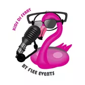 Kids DJ Ferry, Allround dj