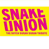 Snake Union (Duran Duran Tribute), Rock, 80s, Pop band