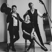 Wild Honey Acoustic Trio, Pop, Jazz, Rock 'n Roll band